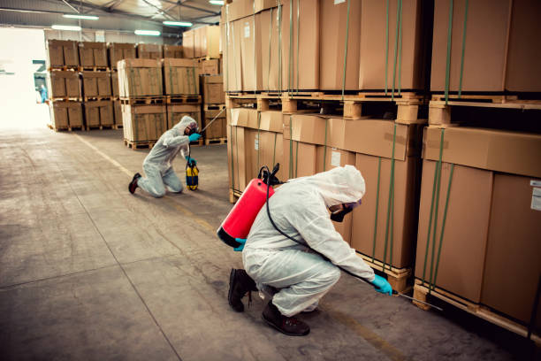 Best Emergency Pest Control  in Monte Vista, CO