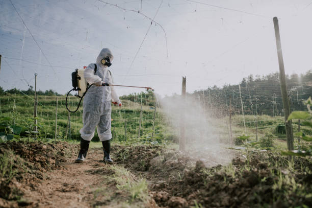 Best Best Pest Control Companies  in Monte Vista, CO