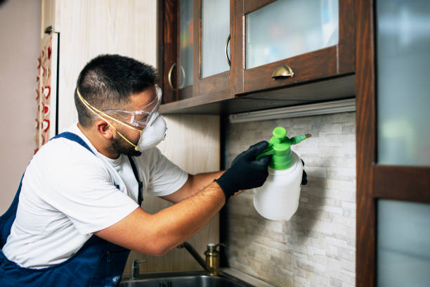 Best Cockroach Control Services  in Monte Vista, CO
