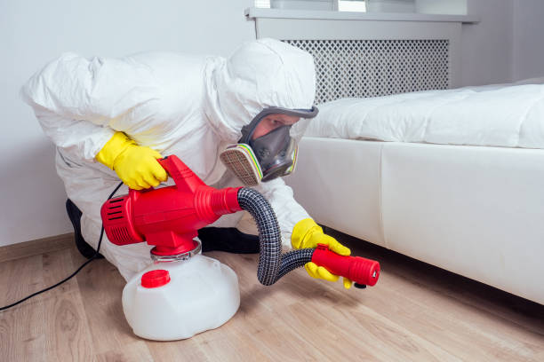 Professional Pest Control in Monte Vista, CO