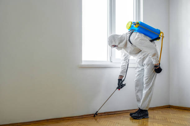 Best Mosquito Control Services  in Monte Vista, CO