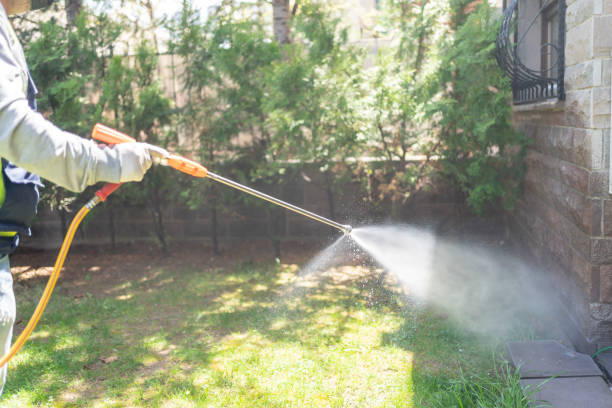 Pest Prevention Services in Monte Vista, CO